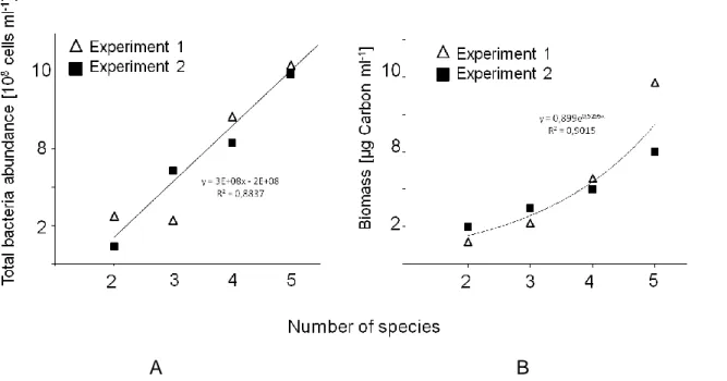 Figure 3. Analyses of total cell numbers and productivity. On the x-axis the experiments with the different species  numbers are displayed whereas the y-axis shows total cell numbers (A) and total biomass (B)