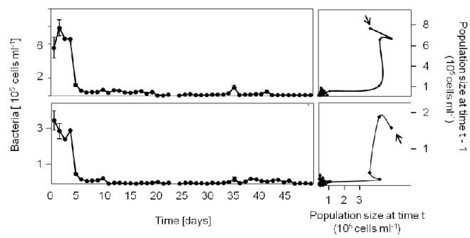 Figure 2. Time series data and time-delay reconstructions given for the corresponding values the single species  systems of Bacillus subtilis with a glucose concentration of 5 mg l -1  in WC medium