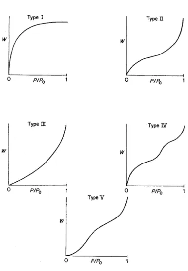 Abb. 2.1: Die funf Typen der Adsorptionsisothermen nach BDDT [Lowell, 1991]