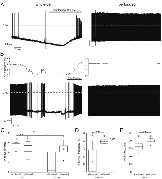 Figure 3.1: Comparison of whole-cell and perforated patch recordings of hypothalamic SF-1 and mesencephalic dopaminergic (DA) neurons