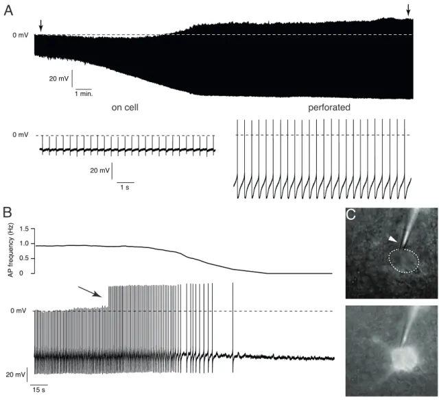 Figure 3.3: Overview of the perforated-patch configuration. (A) Representative trace showing the transition from ’on-cell’ to the ’perforated-patch’ configuration in a dopaminergic midbrain neuron