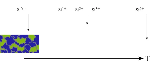 Figure 4.1: Schematic drawing of the ICM model for bulk a-SiO showing the Si and SiO 2