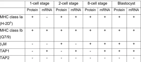 Table 2. Detection of MHC and transporter associated with antigen  processing (TAP) mRNA and protein products during preimplantation  mouse embryonic development 
