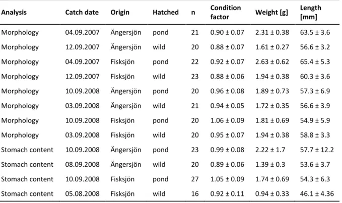 Table  1:  Catch  date,  origin,  hatching  place,  n  per  group,  condition  factor  (mean  ±  SD),  weight [g] (mean ± SD) and length [mm] (mean ± SD) for all perch used in the different  analyses of the presented study