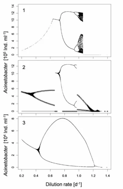 Fig. 3. Bifurcation diagrams for model 1, 2 and 3. The local maxima and minima of the  abundance of Acinetobacter in time series of 417 days are plotted against the dilution rate