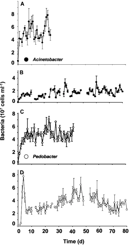 Fig. 1. Time series data of monoxenic bacterial chemostat experiments at a dilution rate  of 0.75 per day and at constant temperature (20°C)
