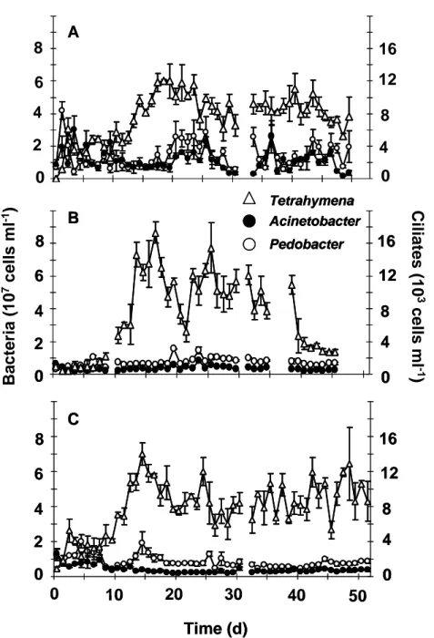 Fig. 4. Time series data of three species predator-prey chemostat experiments at a dilution  rate of 0.75 per day and at constant temperature (20°C)