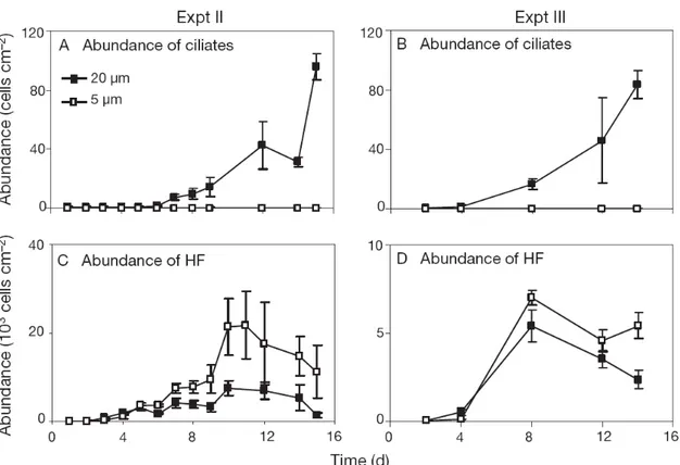 Fig. 4. Development of (A,B) ciliate and (C,D) heterotrophic flagellate (HF) abundance in (A,C) Expt II  and  (B,D)  Expt  III  in  20  μm  and  5  μm  filtered  treatments