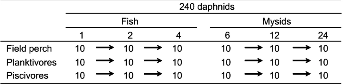 Table 1: Number of individual perch used in the experiments on different food resources (1 fish, 6 mysids = half  the energetic value of 240 daphnids; 2 fish, 12 mysids = equal energetic value of alternative prey and daphnids; 4  fish, 24 mysid = double th