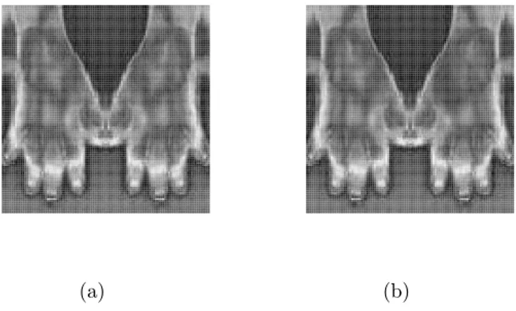 Figure 2: Thermographic image of a hand: (a) duplicated and mirrowed image of a right hand (perfect symmetry) disturbed with errors