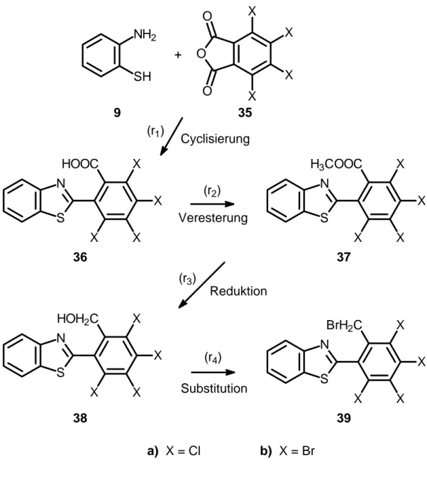 Abb. 5: Syntheseweg für 2-(2-Benzothiazolyl)-1-brommethyl-3,4,5,6- 2-(2-Benzothiazolyl)-1-brommethyl-3,4,5,6-tetrahalogen-benzole (39) nach der reduktiven Route