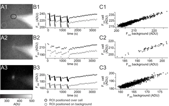 Figure 2.1: Background fluorescence subtraction. (A1 – 3) Fluorescence images of the recording sit- sit-uation with 340 nm (A1), 360 nm (A2) and 380 nm (A3) excitation wavelength