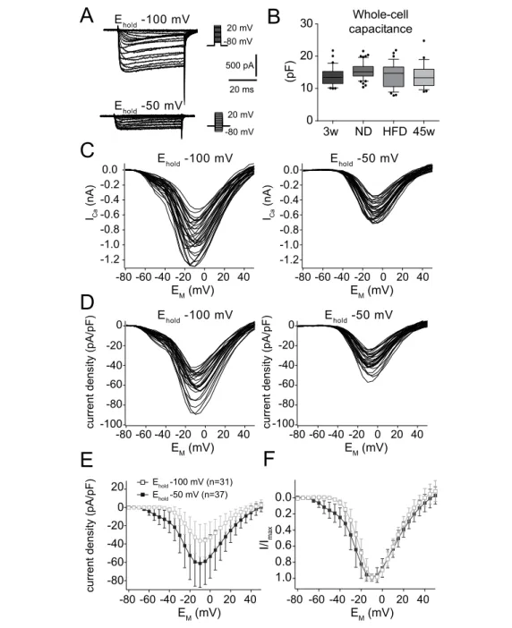 Figure 3.2: Steady-state activation of voltage-activated calcium currents (I Ca ) measured in POMC neurons of mice from the ND cohort