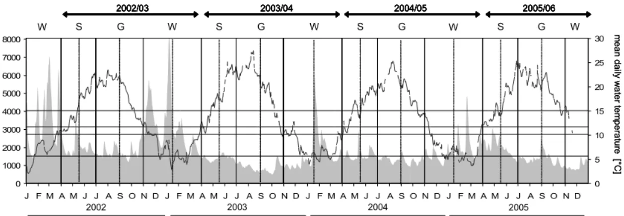 Figure 2: Hydrograph (grey area) and water temperature (dotted graph) of the River Rhine in  the four annual cycles and inundation thresholds (horizontal lines) of waterbodies of  different long-term inundation categories (&lt;25; &gt;25-50; &gt;50-100; &g