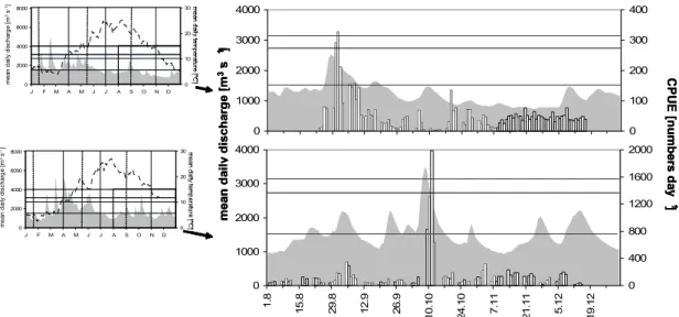 Figure 5: Hydrograph (grey area) and temperatures (dotted graph) of the River Rhine (left)  and relationships of YOY fish CPUE values (columns) and the hydrograph in  autumn and winter of the years 2005 and 2006 (right)