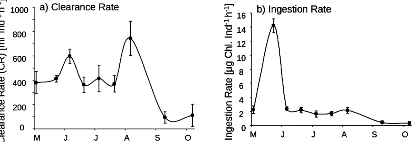Fig.  2:  Food  uptake  of  Corbicula  fluminea  estimated  in  Cologne-Marienburg  for  the  low  food  level treatment: (a) clearance rate, (b) ingestion rate.