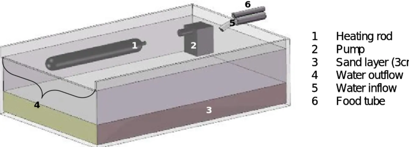 Fig. 1: Schematic illustration of one tank of the experiment. The figure contains both the heater 