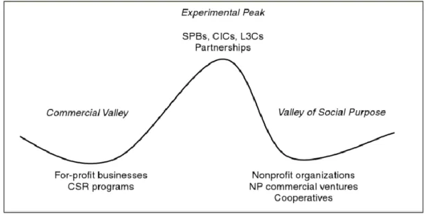 Figure 5: The topography of social enterprise (Young, 2012, p. 52) 