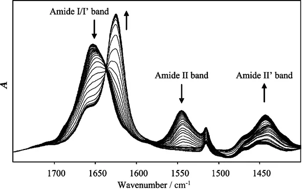 Figure 13: Time resolved FTIR spectra of insulin during heating and incubation at 60 ºC 