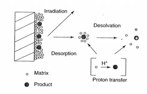 Figure 2-4. Diagram of the principle of MALDI 18