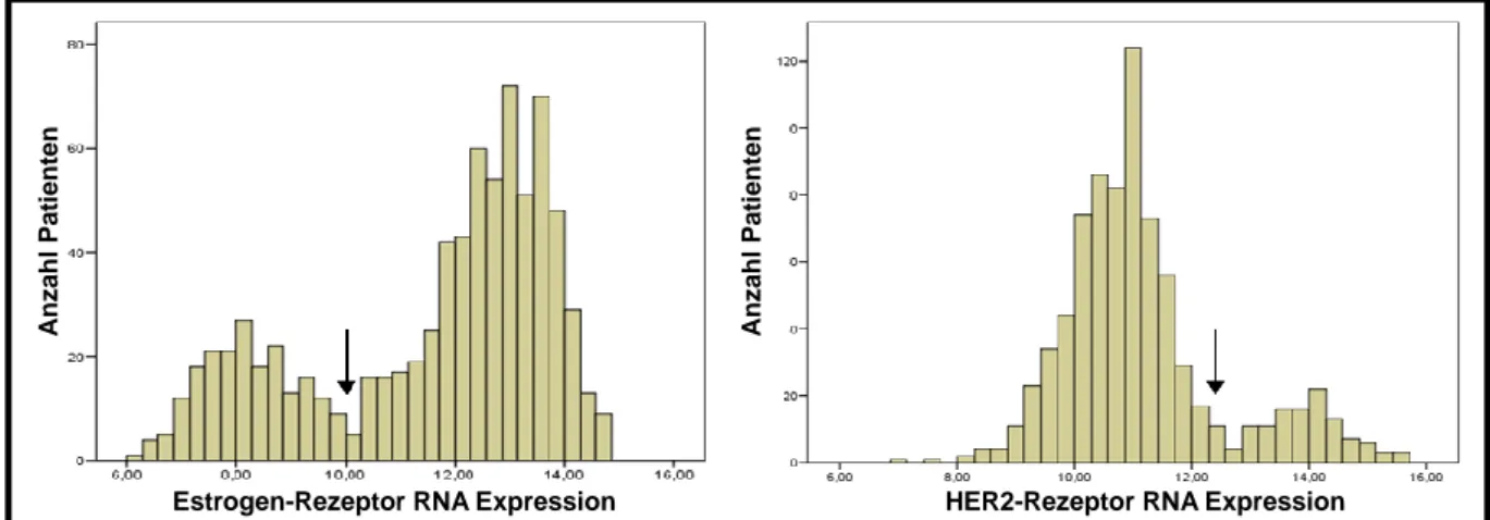 Abbildung  3.4:  Häufigkeitsverteilung  der  Estrogen-  und  HER2-Rezeptor  RNA  Expression  zur  Charakterisierung des Rezeptor-Status von Brustkrebspatienten in der Gesamtkohorte (n=788)  [3] 