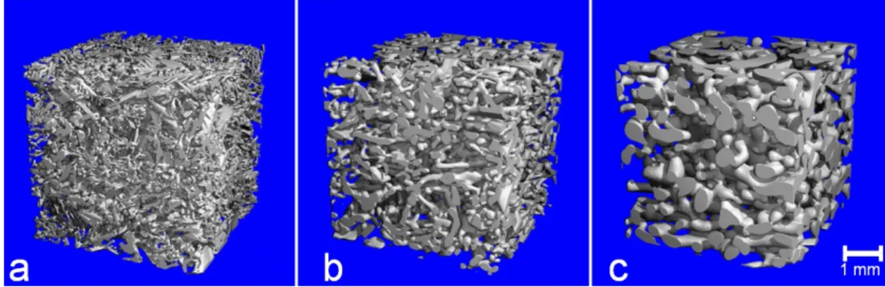 Figure 1.6: Changing microstructure during equilibrium metamorphism captured by micro computer tomography