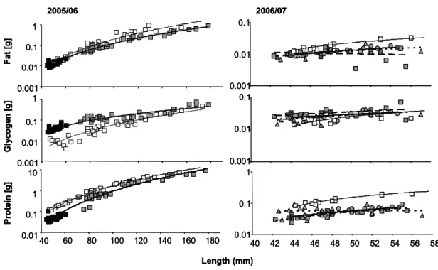 Figure 2: Fat, glycogen and protein [g] of perch of different body lengths before the experiment  ( ) and after having been fed with Cyclops spp