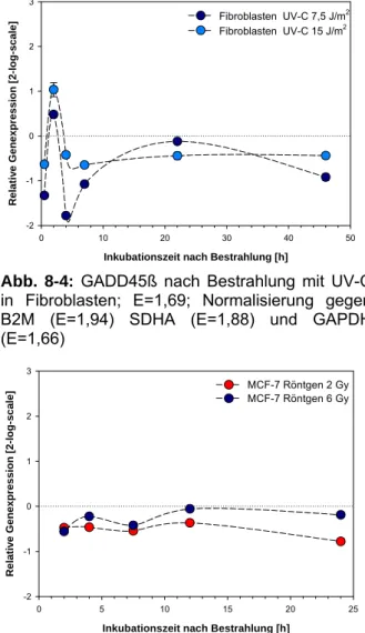 Abb. 8-4: GADD45ß nach Bestrahlung mit UV-C  in Fibroblasten; E=1,69; Normalisierung gegen  B2M (E=1,94) SDHA (E=1,88) und GAPDH  (E=1,66) 