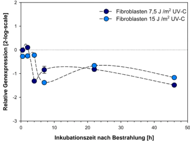 Abb. 8-14: BRCA2 in AGS Zellen nach  Bestrahlung mit UV-C; E=1,84, Normalisierung  gegen UBC (E=1,89) und B2M (E=1,90) 