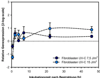 Abb. 3-28: p21 in AGS Zellen nach Bestrahlung  mit UV-C. E=1,65.Normalisierung gegen UBC  (E=1,89) und B2M (E=1,90) 