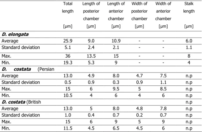 Table 1. Statistics of lorica measurements of  Diplotheca elongata  (based on 25 individuals)  and  D
