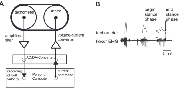 Figure 2.3: Treadmill. A: Tachometer. The signal from the tachometer was filtered and digitized prior to recording