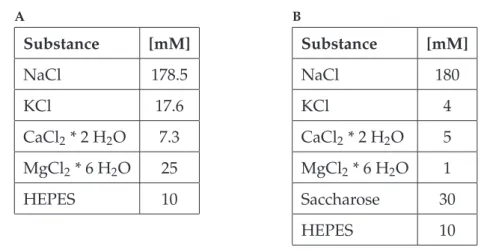 Table 2.1: Saline composition used in A: non-pharmacological experiments according to Weidler and Diecke (1969), and B: pharmacological experiments; saline modified after Schmidt.
