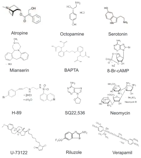 Figure 2.4: Chemical structures of the used drugs. The molecular weight varied between 190 and 909.