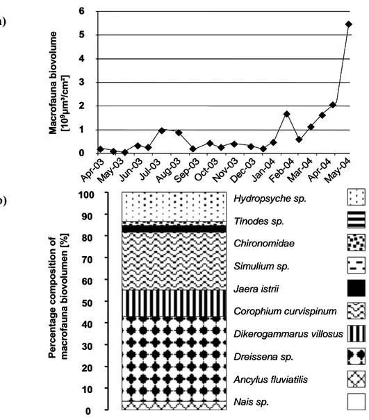 Figure 14 a) Average distribution of the macrofauna in biofilm on slides over the  study period, biomass, (n=3), b) average composition of the macrofauna in biofilm on  slides over the study period, biomass, (n=19)