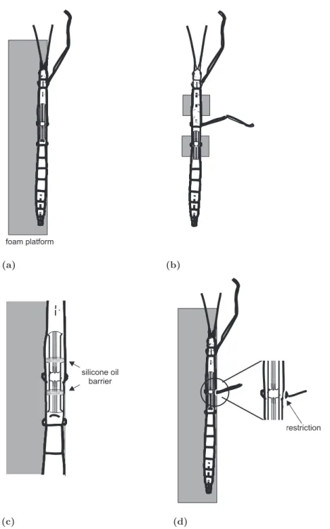 Figure 2.2: (a) Single leg preparation. (b) Two leg preparation. (c) Split bath preparation