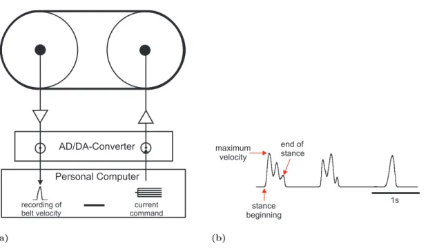 Figure 2.3: (a) Treadmill. The signal from the tachometer was filtered and digitized prior to recording