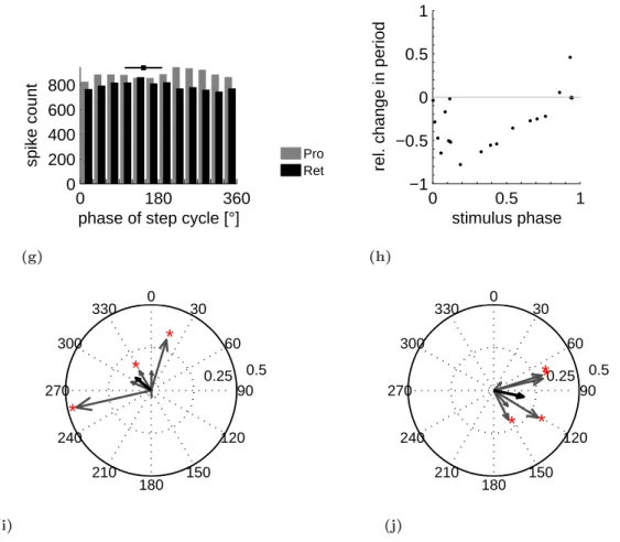 Figure 4.1: Recording of mesothoracic protractor and retractor MN activity: (a) Protractor and retractor MNs show slow alternating pilocarpine induced rhythm