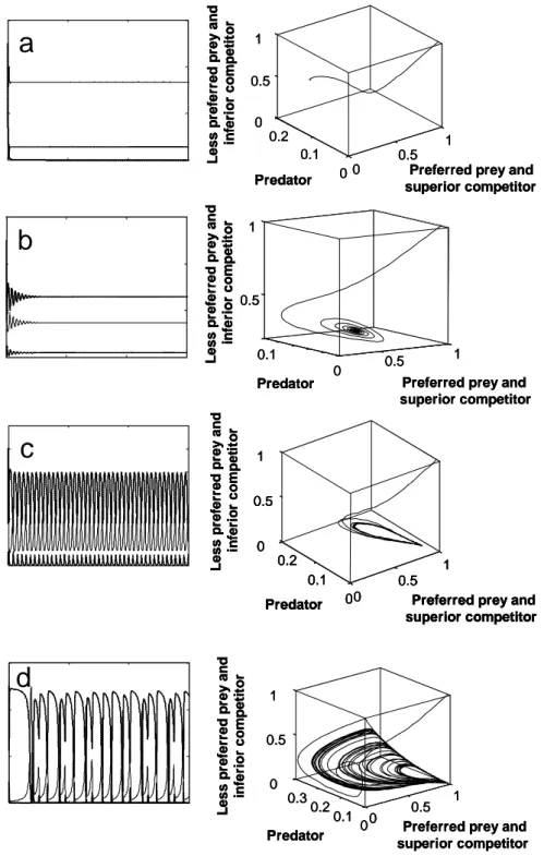 Fig. 2:  Typical dynamic pattern occurring in mathematical models of a two- two-prey-one-predator system as time series (left columns) and Poincaré plots,  where population densities are plotted against each other (right columns)