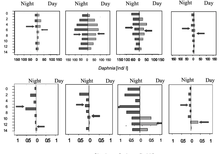 Fig. 14.- Day and night depth vertical distributions for Askenasia,  Rimostrombidium lacustris, Coleps,  Daphnia  sp  and Chaobous flavicans