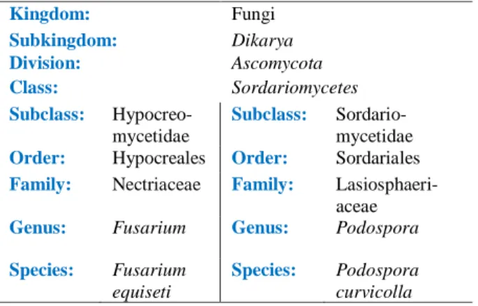 Table 1 Scientific classification of F. equiseti and P. Curvicolla,  which differ in the subclass concerning their taxonomic rank
