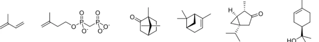 Figure 1.1: Morphine (1) and urea (2).  