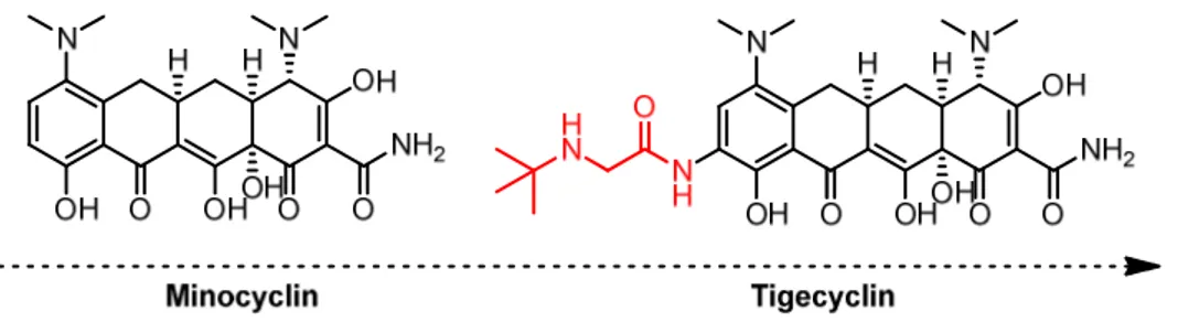 Abbildung 2: Modifikation des ursprünglichen Molekülgerüstes (Tetracyclinderivat) bewirkt eine bessere Bin- Bin-dung an das Ribosom und damit eine geringere Resistenz