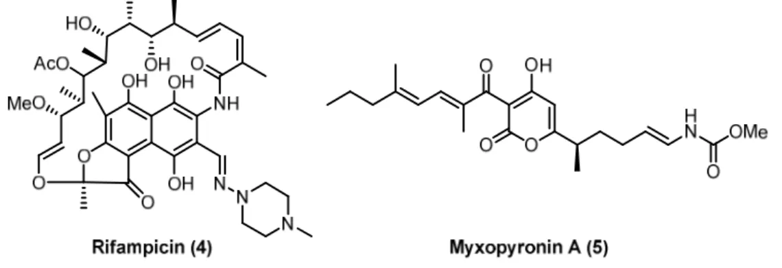 Abbildung 7: Rifampicin (4) und Myxopyronin A (5). 