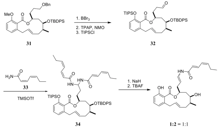 Abb. 8: Abschluss der Synthese von (-)-Salicylihalamid A (1) und B (2) nach Labrecque et  al