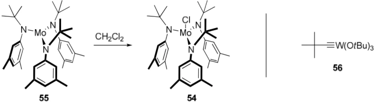 Abbildung 19. Aktivierung des Trisamido-Molybdän-Komplexes 55 und der von Schrock entwickelte  Alkinmetathese-Katalysator 56