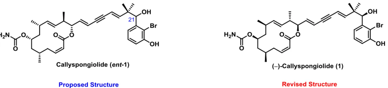 Figure 1: Originally proposed structure of callyspongiolide (left) in comparison to the revised version (right) posing as the  enantiomer of the former molecule
