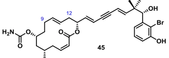 Figure 4: Designed analogue 45 of callyspongiolide (ent-1). 