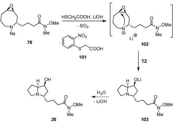 Abb. 40. Geplante Nosyl-Entschützung und transannulare Zyklisierung zur Synthese des Pyrrolizidin- Pyrrolizidin-1-ols 26