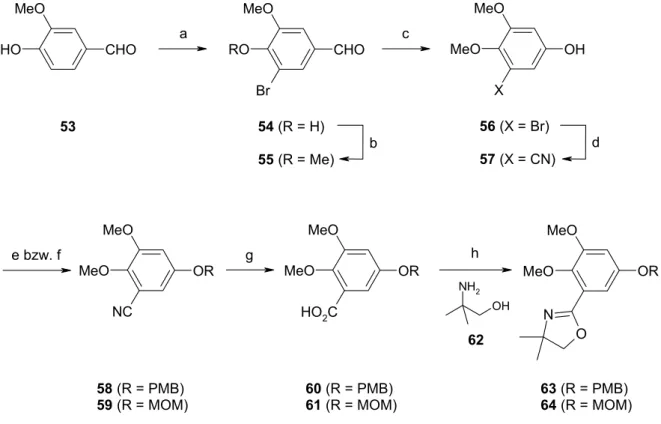 Abb. 19: Herstellung der Oxazoline 63 und 64.  a) Br 2 , MeOH, 0 °C, 2.5 h → RT, 1 h, 95 %